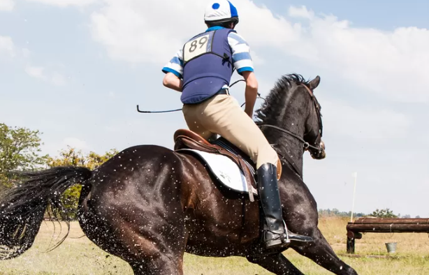 aturan-dan-sistem-penilaian-dalam-perlombaan-balap-kuda